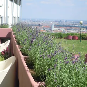  Hostal Palace